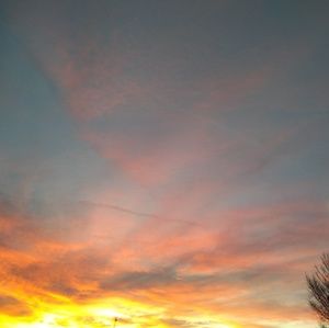 Meet your Posher, Miranda